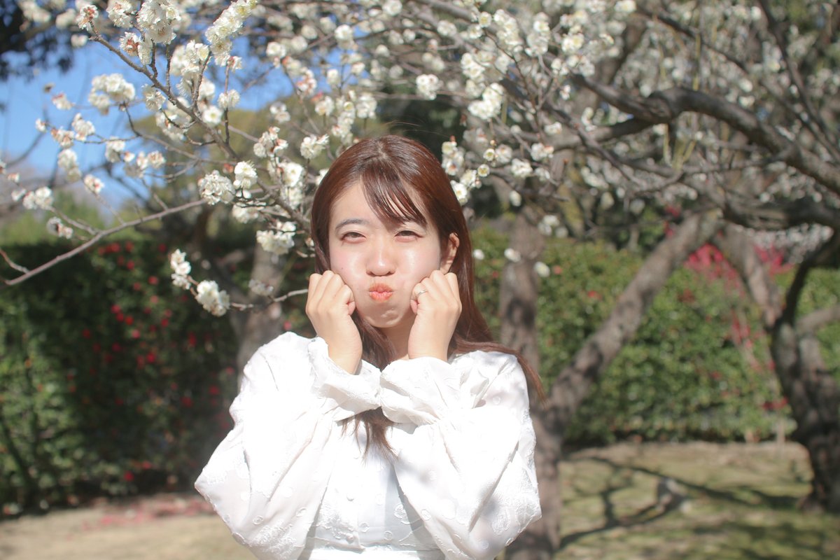 2023年1月15日　梅撮影
　
キミ色に染めて

#すずちゃん　#福岡モデル　#ぷれめも撮影会　#ぷれめも　#福岡撮影会