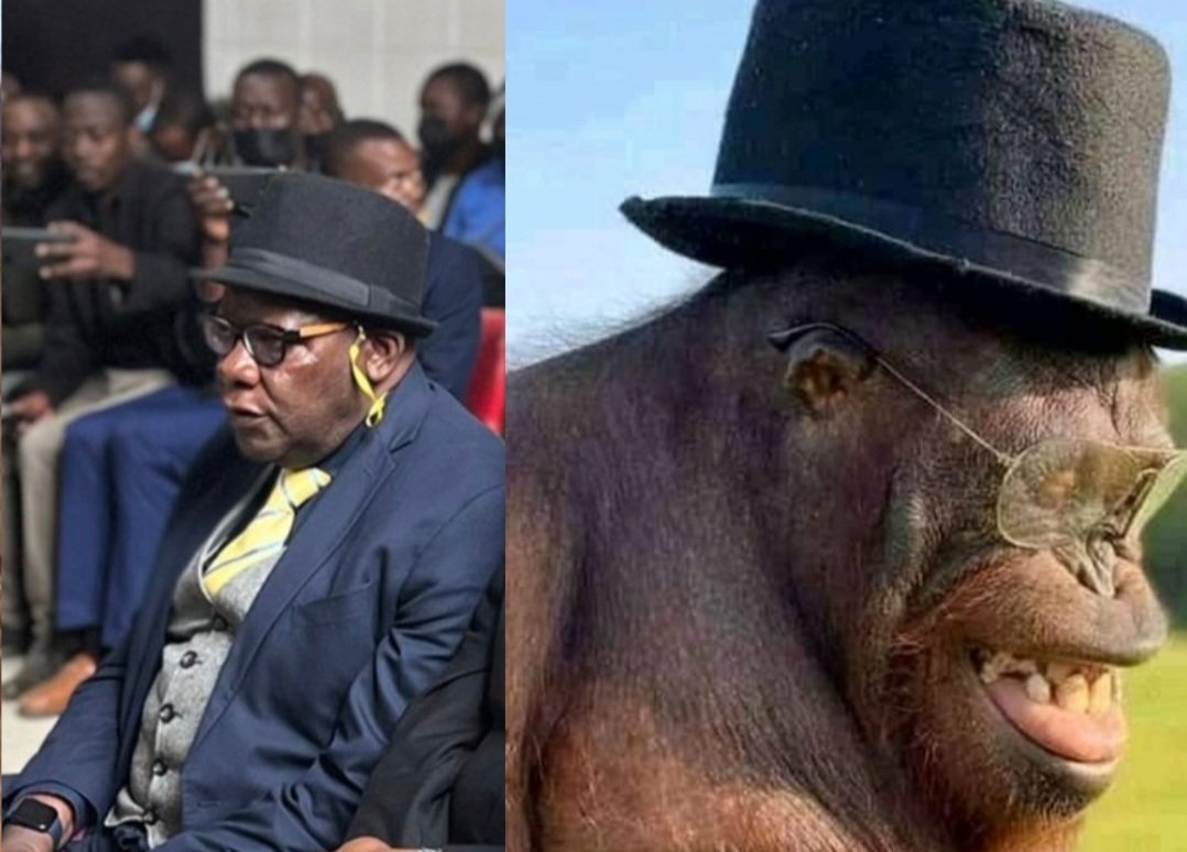 MrKuzama's tweet photo. @Vahombe07 @Mug2155 @KMutisi @ProfJNMoyo @matigary @enkudheni @kaunda_bongi @ChimhamhaZw @dereckgoto @lilomatic @nickmangwana @Tinoedzazvimwe1 @rangamataire @caesarzvayi 👇 https://t.co/MLu19P5SpI