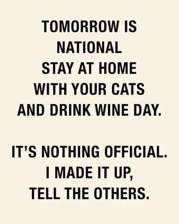PoesAllan's tweet photo. 🤣🍷🧀🍷😁
#CatsOfTwitter #cats #hedgewatch https://t.co/0rtrK0EzHU