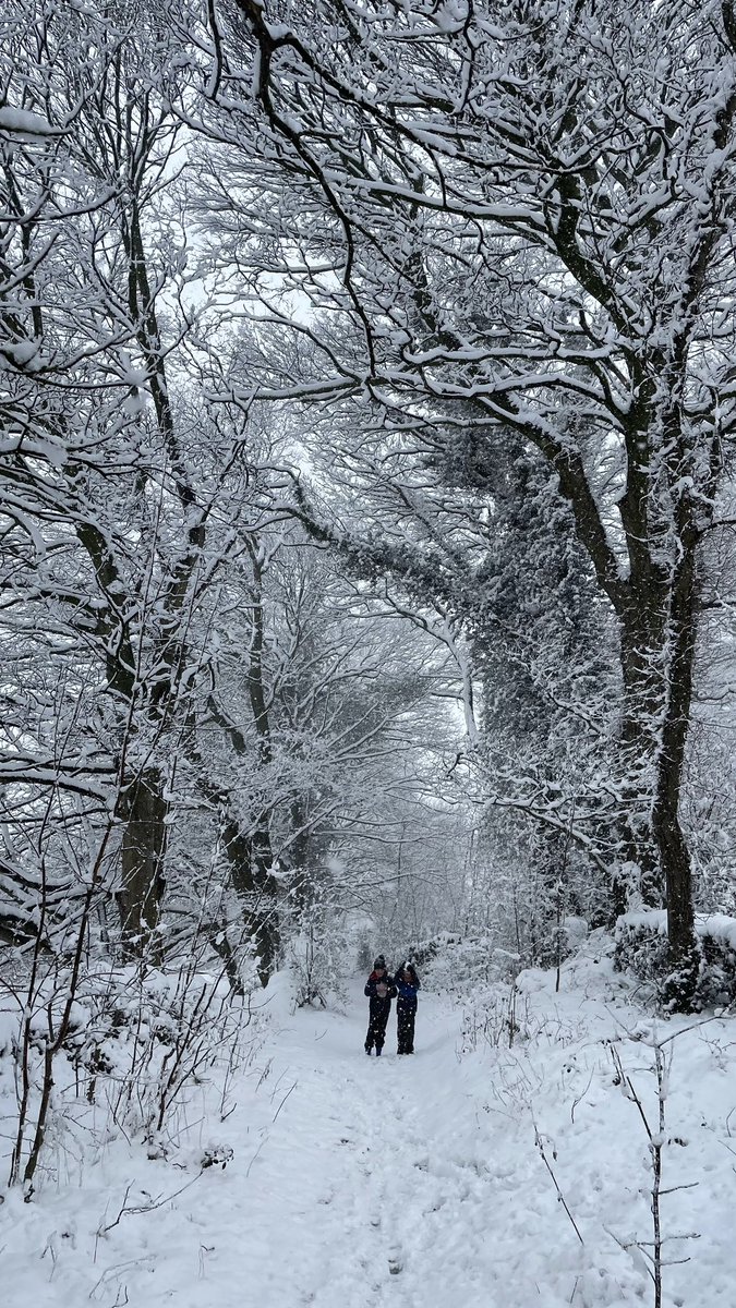 JennyLeaning's tweet photo. @SheffieldStar Snowy scenes in Stannington https://t.co/ZOad3K2GAz