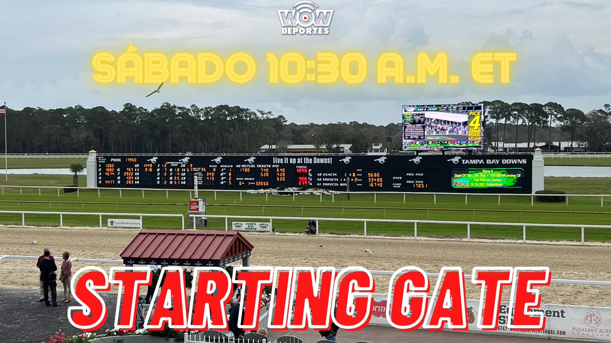 Este sábado tendremos programazo con el #TampaBayDerby. <a href="/Mannysanz_53/">Manny Sanz</a> EN VIVO y directo desde Tampa Bay Downs, y <a href="/EdgarVillaLope1/">Edgar Villa Lopez</a> con la información para el #Pick6 de #GulfstreamPark. 
Los esperamos a las 10:30 a.m. ET en WOW DEPORTES a través de YouTube, Facebook y Twitter.