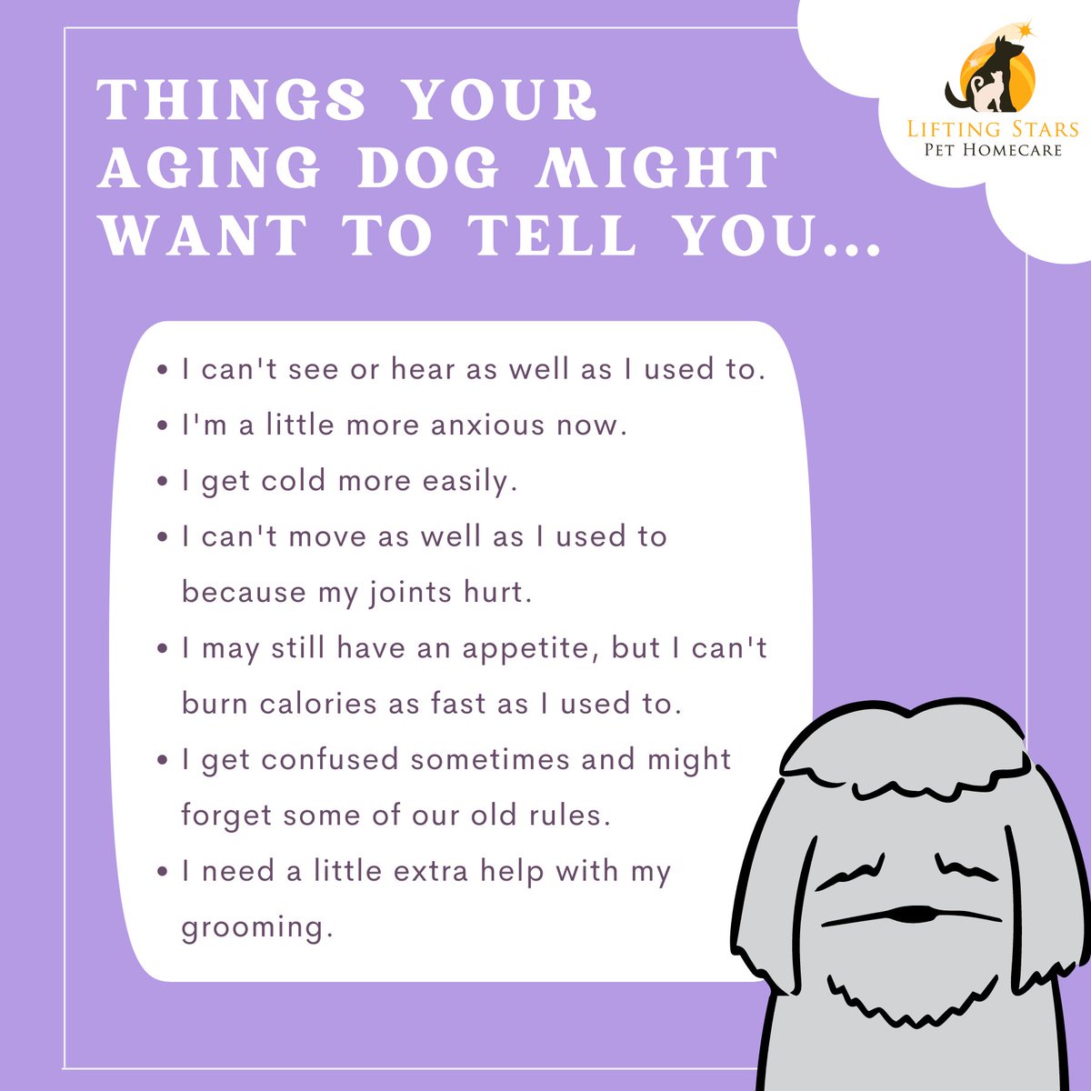 Here are a few things your senior pup might want to tell you... 💜✨
#liftingstarspethomecare #petcare #petgrief #petmemorial #seniorpet #dog #doglove #cat #catlove #pethomecare #veterinarians #vancouvervet #homecallvet #seniorpetlove #seniordog #seniorpups