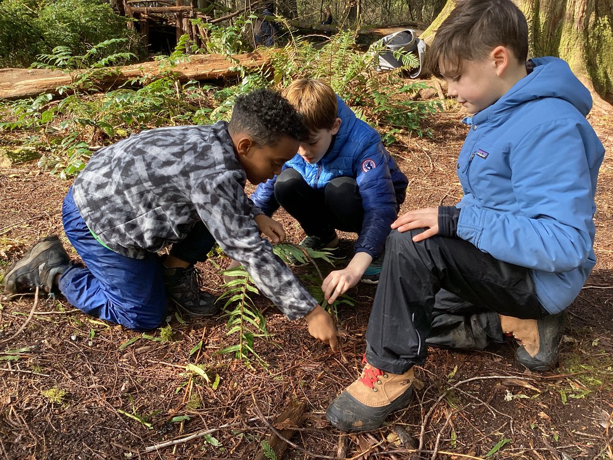 After thinking about what newts might need, some students from <a href="/SalmonBaySchool/">Salmon Bay School</a>  determined they needed: protection from predators, room for family, and a water source. And then this group set about building newt houses with all the amenities! #islandwood #seattlepublicschools