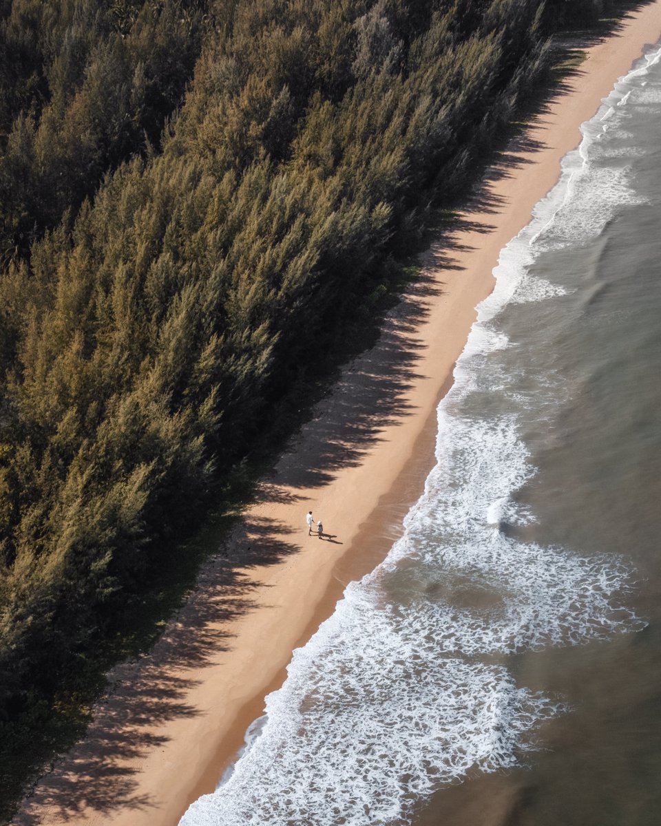 Meet me at the sea shore.