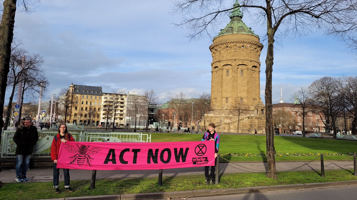 Tolle LG Aktion am Friedrichsplatz