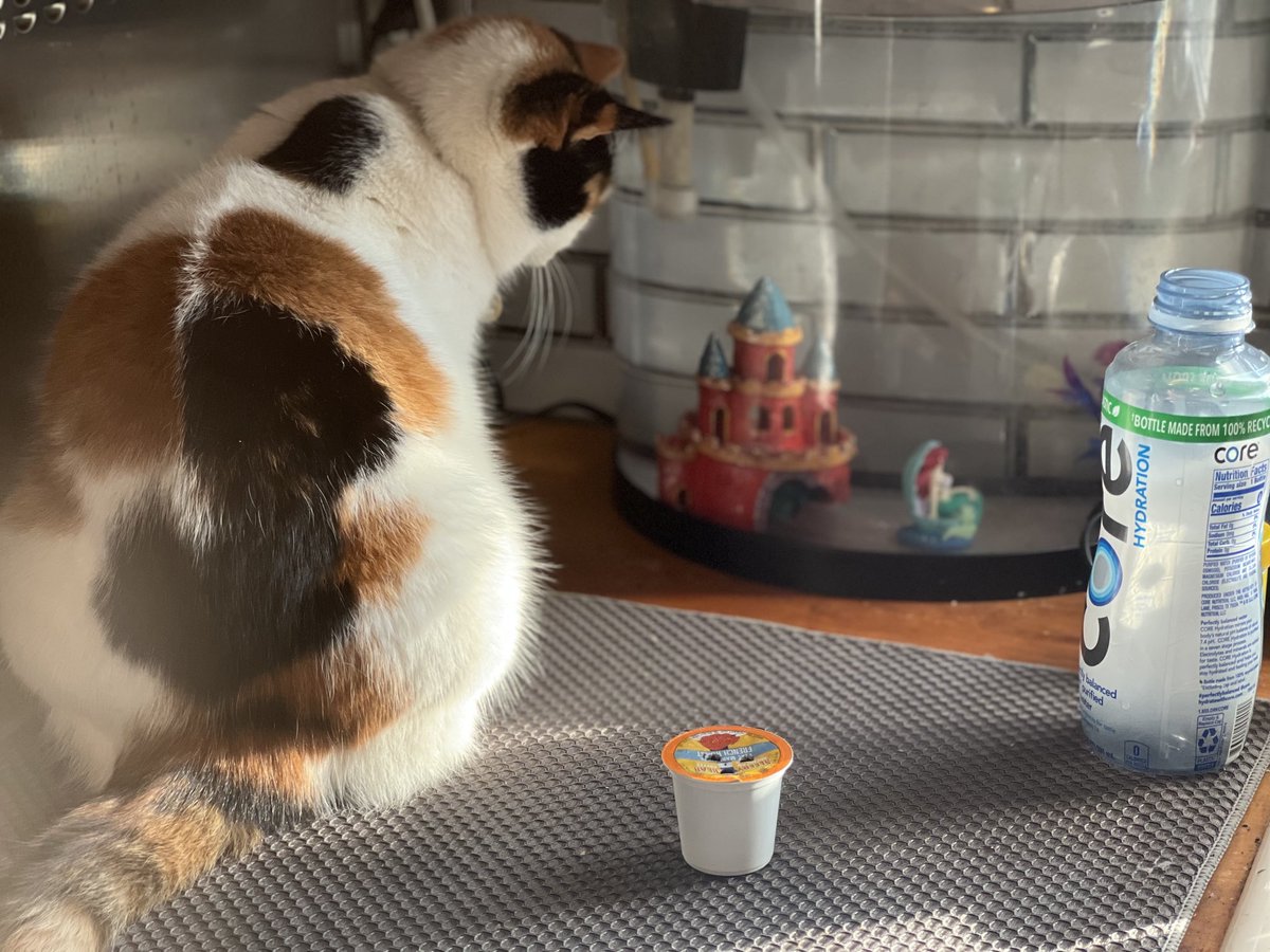 Keeping an eye on the fish