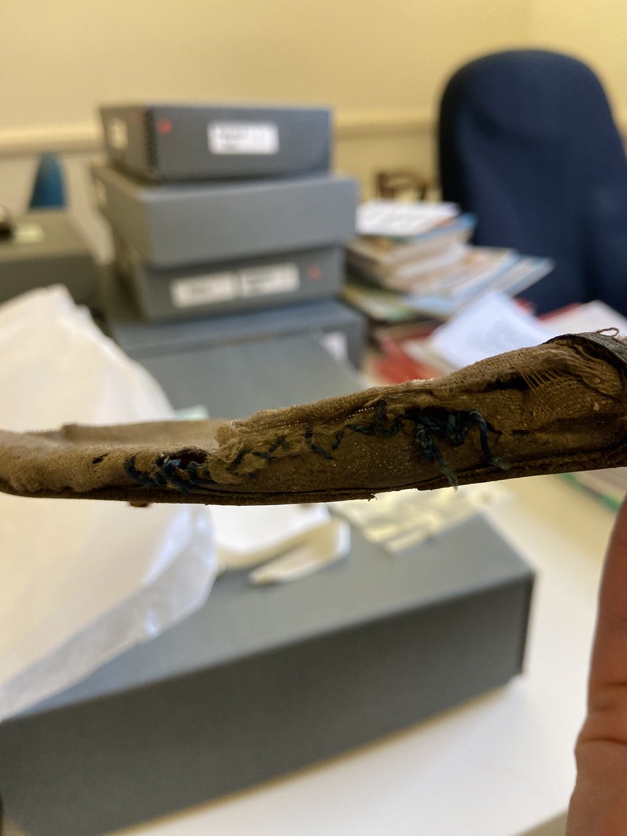 Dr Isabella Rosner tweet media