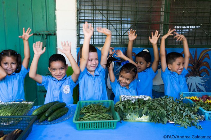 FAOenEspanol's tweet image. 👩‍🏫🥗Nutrición y educación: una combinación ganadora

En El Salvador🇸🇻, comunidades enteras mejoran su alimentación gracias a los programas de alimentación escolar sostenible de la FAO y 
@FAOBrasilCoop👉bit.ly/3pTSwAX

#ComidasEscolares #CooperaciónSurSur #SSTC