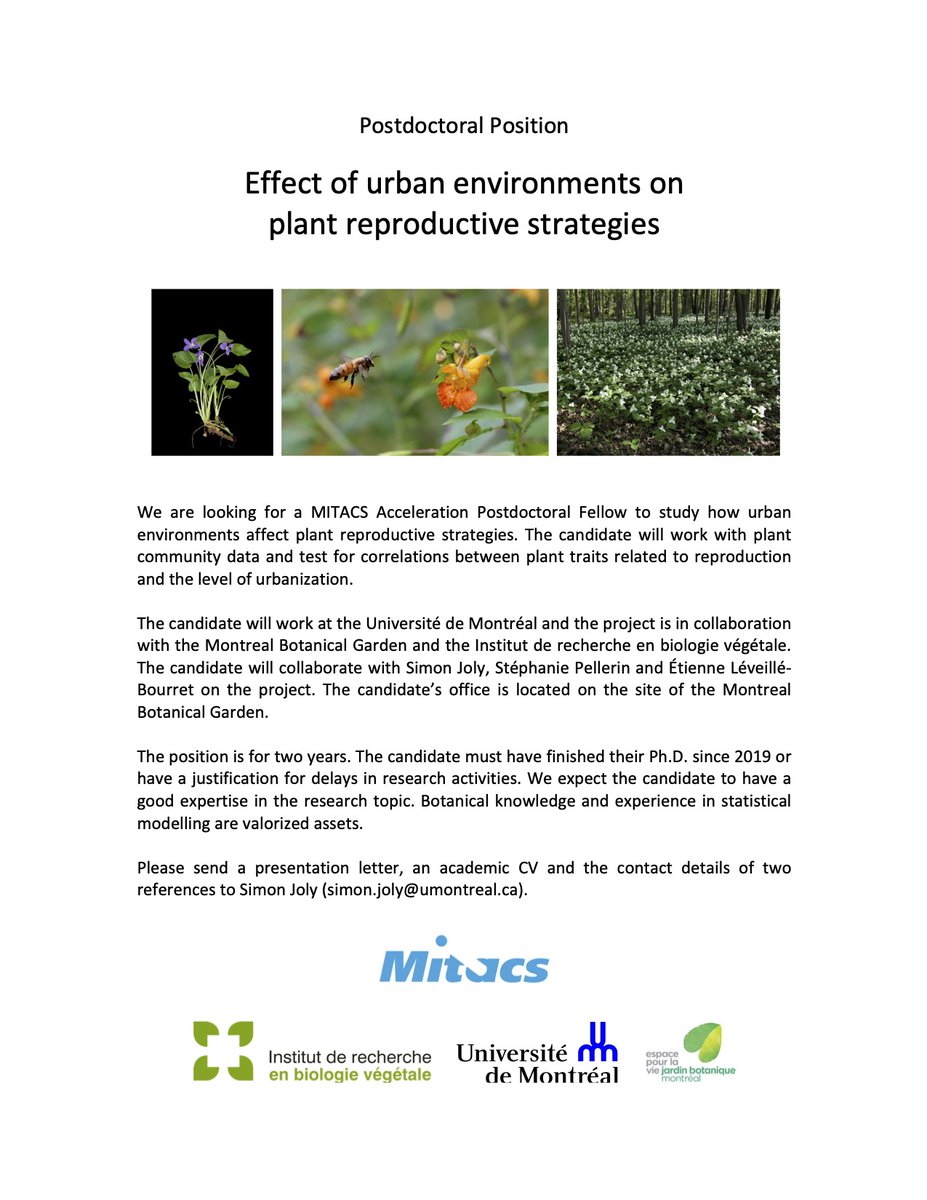 Simon Joly (@simjoly.bsky.social) (@simjoly) on Twitter photo 🚨 Postdoc position alert!
We are looking for a postdoc fellow to study how environments affect plant reproductive strategies.
🏙️ ➡️ 🌸🌼🌻
It is a <a href="/UMontreal/">Université de Montréal</a> position in collaboration with the #MontrealBotanicalGarden (<a href="/EspacePourLaVie/">Espace pour la vie</a>) and <a href="/IRBV_Montreal/">IRBV</a>.
DM for more info. 🚨 Postdoc position alert!
We are looking for a postdoc fellow to study how environments affect plant reproductive strategies.
🏙️ ➡️ 🌸🌼🌻
It is a <a href="/UMontreal/">Université de Montréal</a> position in collaboration with the #MontrealBotanicalGarden (<a href="/EspacePourLaVie/">Espace pour la vie</a>) and <a href="/IRBV_Montreal/">IRBV</a>.
DM for more info.