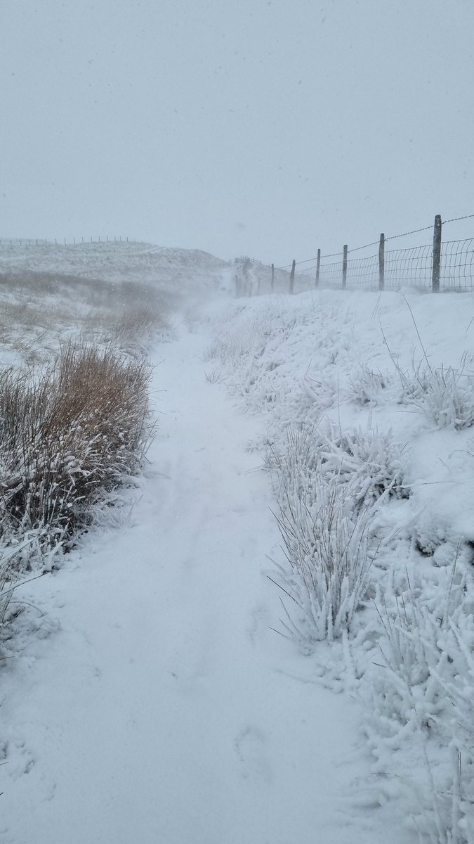 oldmanruns76's tweet photo. So much fun playing out in the snow on Crompton Moor @ChadWeather
#snowRunner #frozenbeard #cromptonmoor #gopro #garmin #runr #RunthroughUK #ukrunchat https://t.co/U22ZXvxQgv