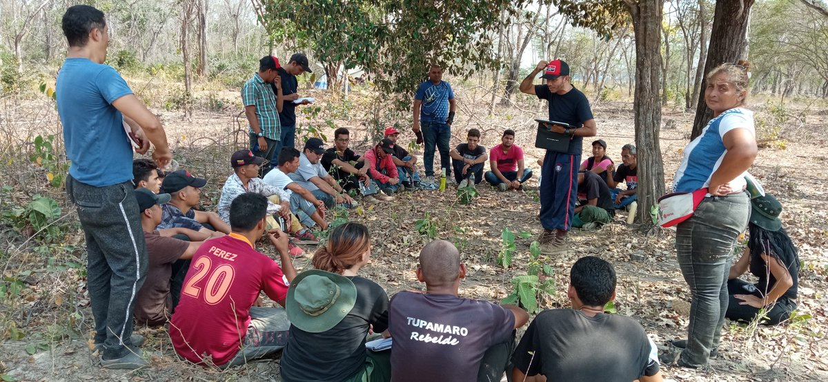 BloqueLlaneroAmazonico_MRT tweet media