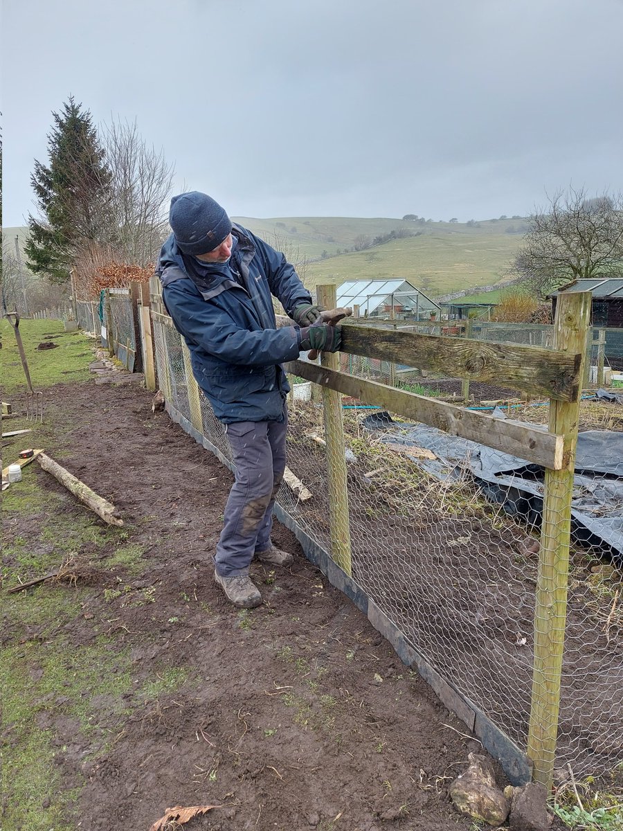 ToavesG's tweet photo. Despite some gentle flurries, I persuaded my technical assistant to help me improve the perimeter fencing on the new plot.
#toaves #newplot #preparationiskey #fencingproject #antibunnybarrier https://t.co/e1b8MQJWrh