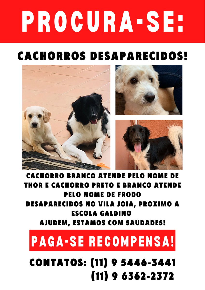 letterstokun's tweet photo. Oi gente, esses são meus cachorros.
Nós acordamos hoje com o nosso portão arrombado e os dois não estavam mais em casa. 

Eu sou de Mogi das Cruzes - SP
Se puderem compartilhar, eu fico agradecido https://t.co/MewHkkhNP6