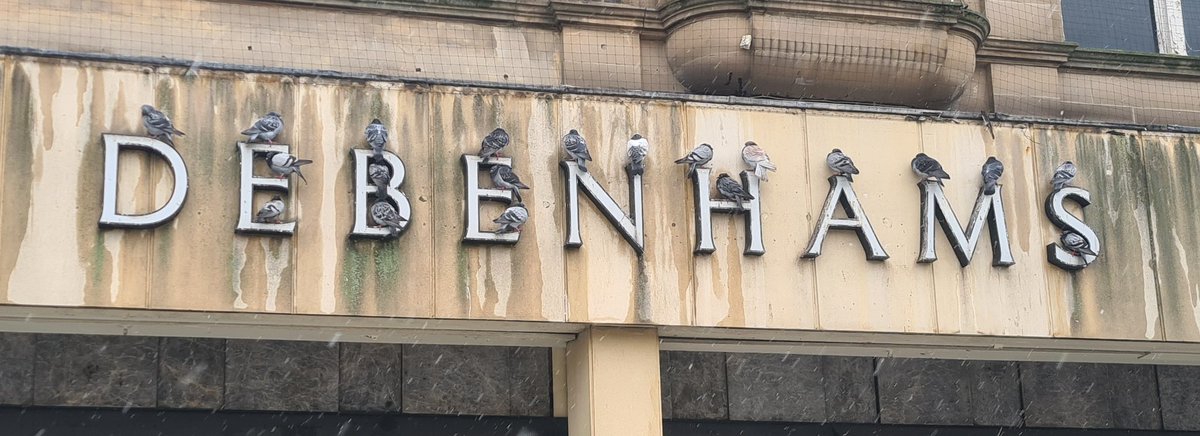 OliverPostingLs's tweet photo. HUGE UPDATE: oh my word. This is an absolutely generational showing from the Debenhams Pigeons. Look at the 3 squeezed onto the B, the perfect triangle of them on the H, the one reclining in the curve of the S. It's enough to move a grown man to tears. So proud of the lads https://t.co/Ze6HNp1f4g