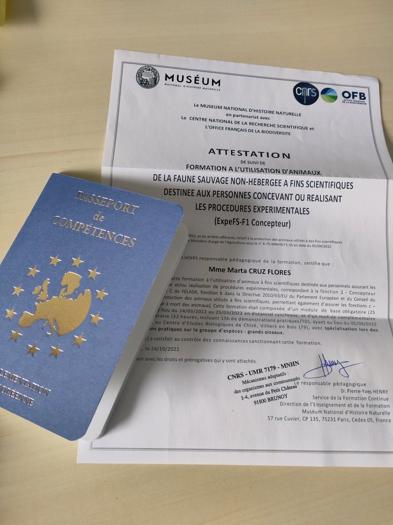 MartaCruzF's tweet image. 🥳Veeery happy to have received my certificate for the use of non-hosted wildlife for scientific purposes👩‍🔬🐥.

After 25h of basic theory, 32h about birds/mammals, &amp;amp; a hard final test 🥵, I am relieved to have it with me!😊
 
[Training followed thanks to my #MSCA grant]
#MHNP