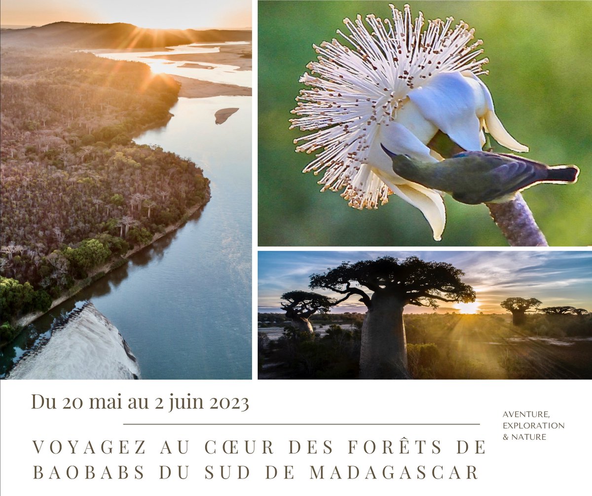 Cyrille Cornu tweet media