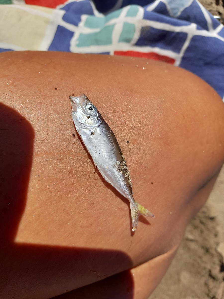 Pablo pietra (@pablo_pietra) on Twitter photo 