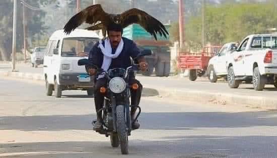 فعلا مشهد واقعي جدا انا فعلا كل يوم بشوف شباب راكبين مكنة صيني و على كتفهم نسر ..