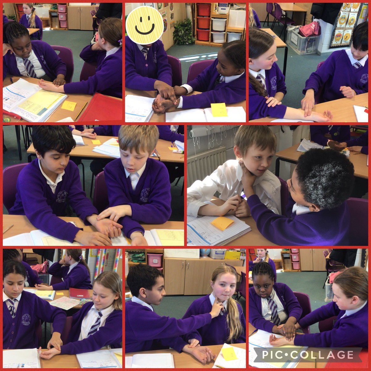 This week in Science, we have learnt how to measure heart rates and takes our own and others pulse <a href="/HolyFamilyScie1/">Holy Family Science</a>