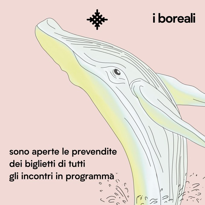 carlacap's tweet photo. @Prossen @Queerrilla Beluga e balene: queste (molto curate) sono di @IperboreaLibri #iboreali https://t.co/zqmy0HgP9R https://t.co/R3XIG58vBC