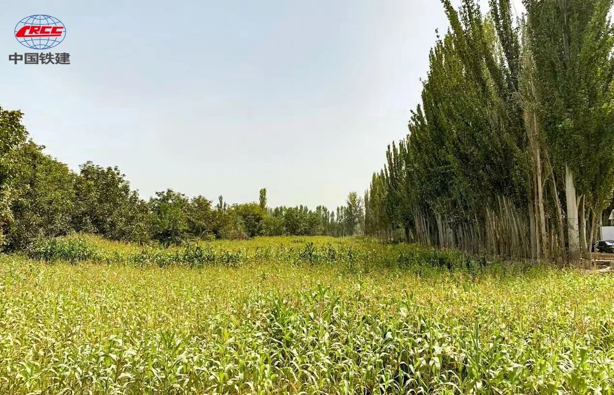 CRCCNews's tweet image. #VisionForFuture In recent years, #CRCC has participated in many livelihood projects. Completing these projects has improved the local transportation conditions and living environment and provided new ideas and opportunities for developing the rural revitalization industry.🌿🌸