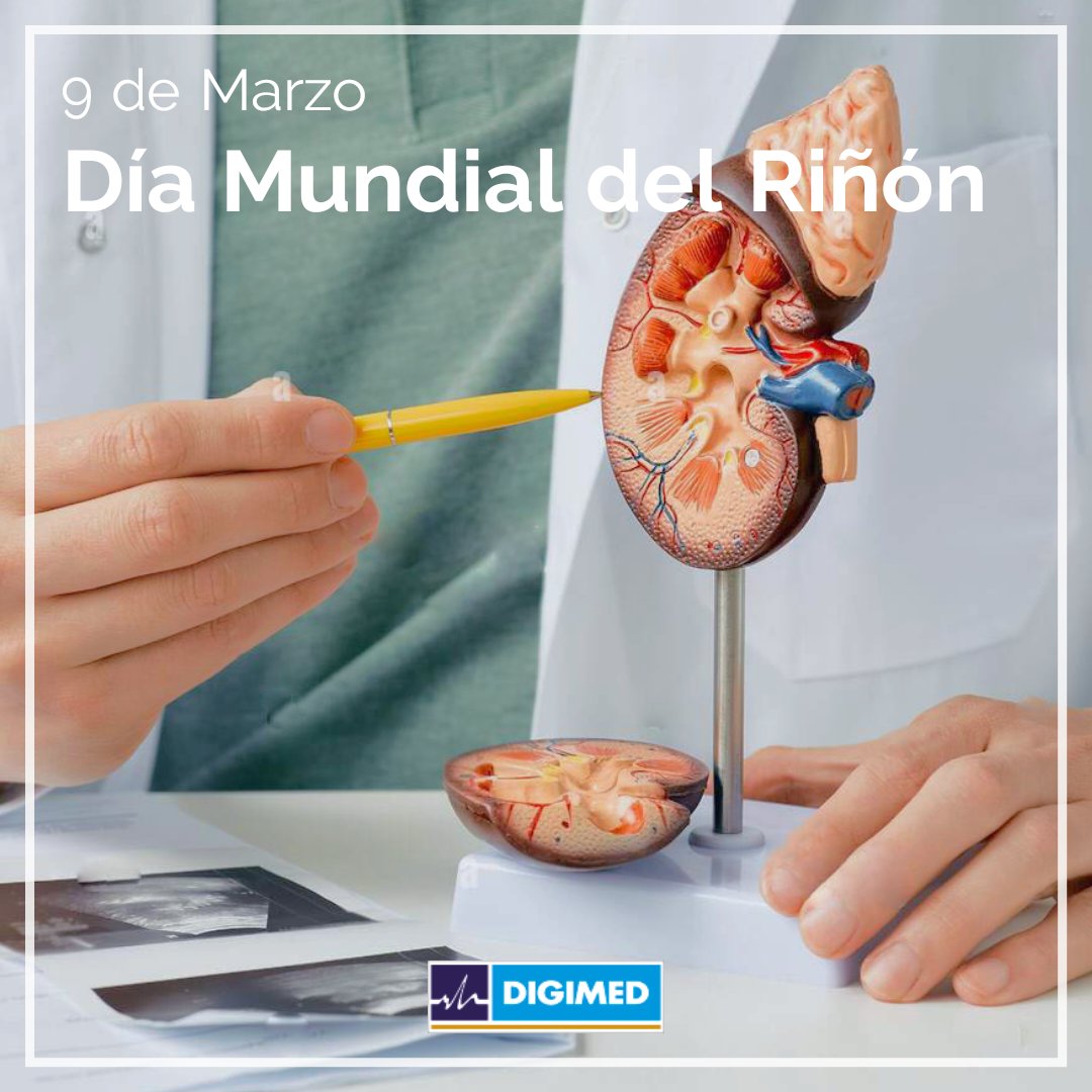 Este jueves 9 de marzo se celebra el Día Mundial del Riñón.
Desde 2006 se celebra el 2do jueves de marzo y es una iniciativa conjunta de la Sociedad Internacional de Nefrología (SIN) y la International Federation of Kidney Foundations (IFKF).

#worldkidneyday #kidneyhealthforall