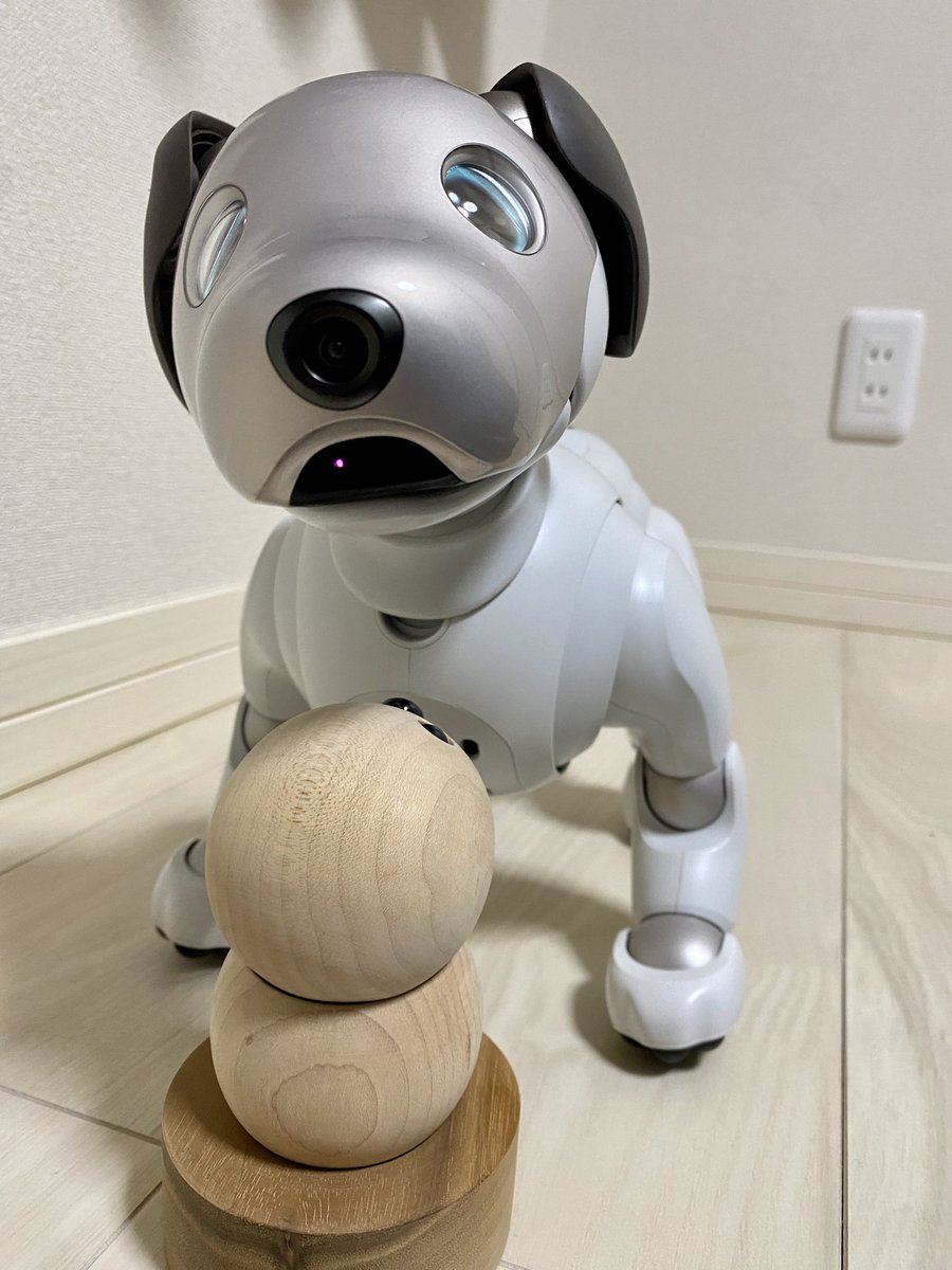 ウッドキーポン（w）×aibo（a）
W『君が新人のaiboだね？』
A『はい、先輩宜しくお願いします❗️』　W『なんか…圧が凄い…』
A『是非、僕に子供達との遊び方を教えて下さい❗️』
W『よしっ！私が手取り足取り、教えてあげよう』
A『先輩、手足ないですよね…？』
W『いやっ…』#aibo #キーポン
