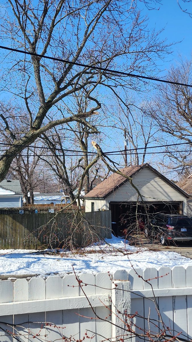 StevenBregier's tweet photo. @DTE_Energy There's a tree limb that's been dangling on a power line since last Friday—DTE has stopped and taken pictured at least twice. Still dangling. https://t.co/fM9p4nsesG