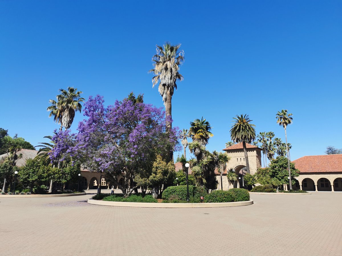 LiU_IEI's tweet photo. Read the brand new article about @IAS_LiU postdoc @selcanmutgan visit at @Stanford as a SCANCOR fellow to participate in research and other activities. https://t.co/8TNKqjteEO @liu_universitet #SCANCOR https://t.co/sF6K2N8iZP