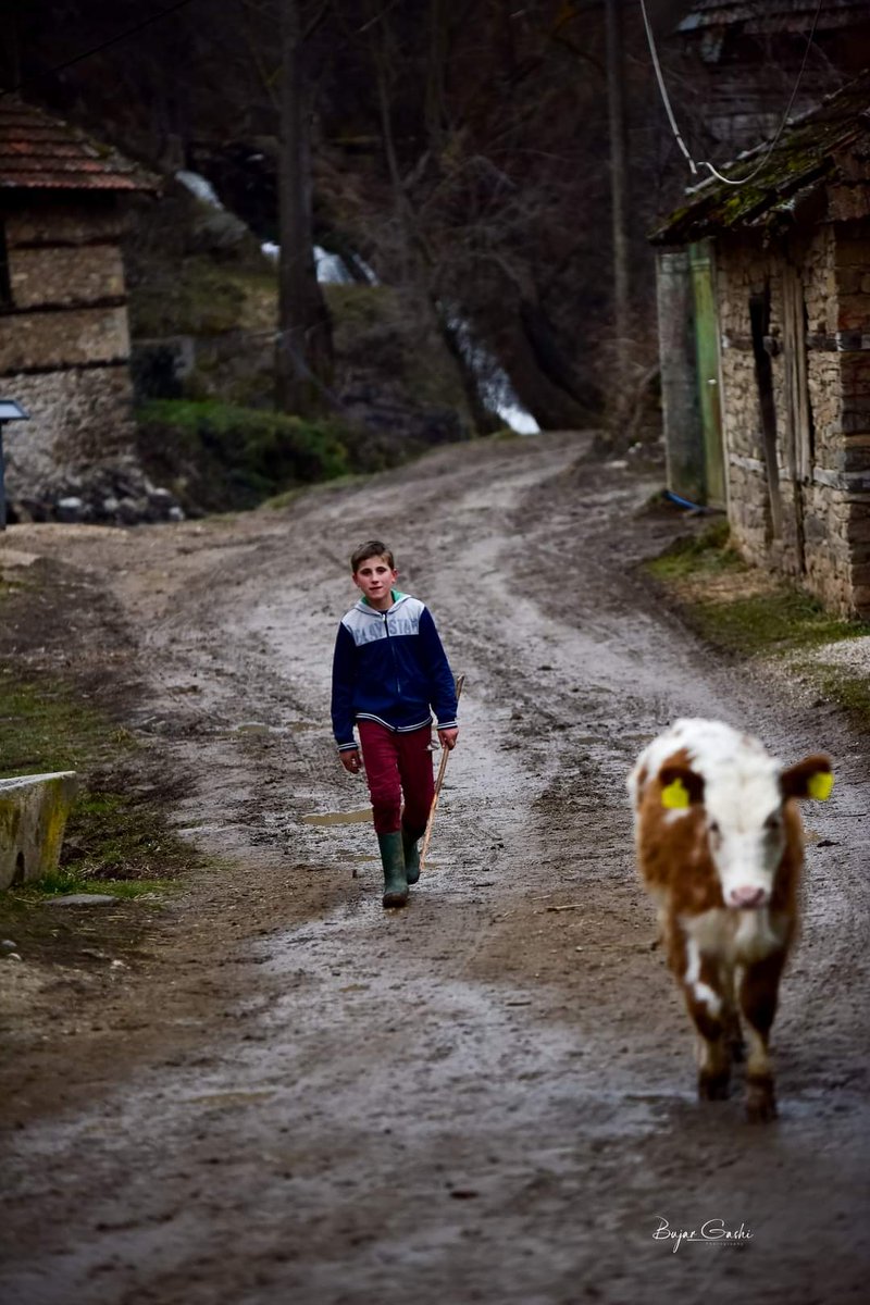 explorekosovo's tweet photo. Letnicë, Kosovë
#Kosovo #letnice #Village # https://t.co/VUQVRcmKQr