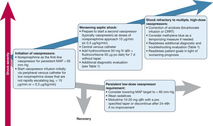 How we escalate vasopressor and corticosteroid therapy in patients with septic shock

CCR Journal Watch
criticalcarereviews.com/latest-evidenc…