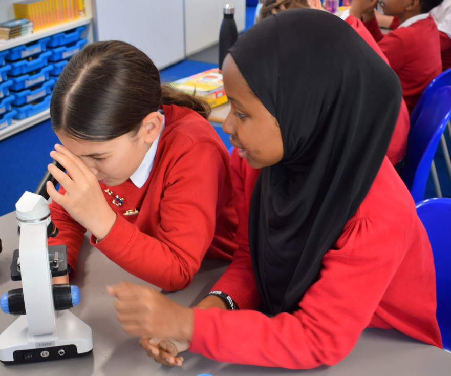 Science week is always a busy one and a great time to get students involved in STEM. Lots of exciting and engaging workshops to offer at vstemschool.com #primary schools #STEM