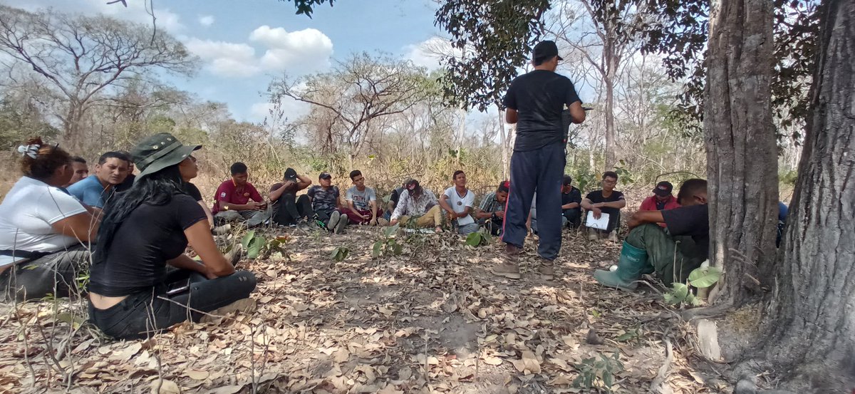 BloqueLlaneroAmazonico_MRT tweet media