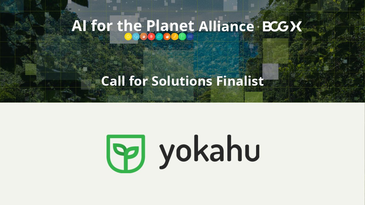Yokahu tweet media