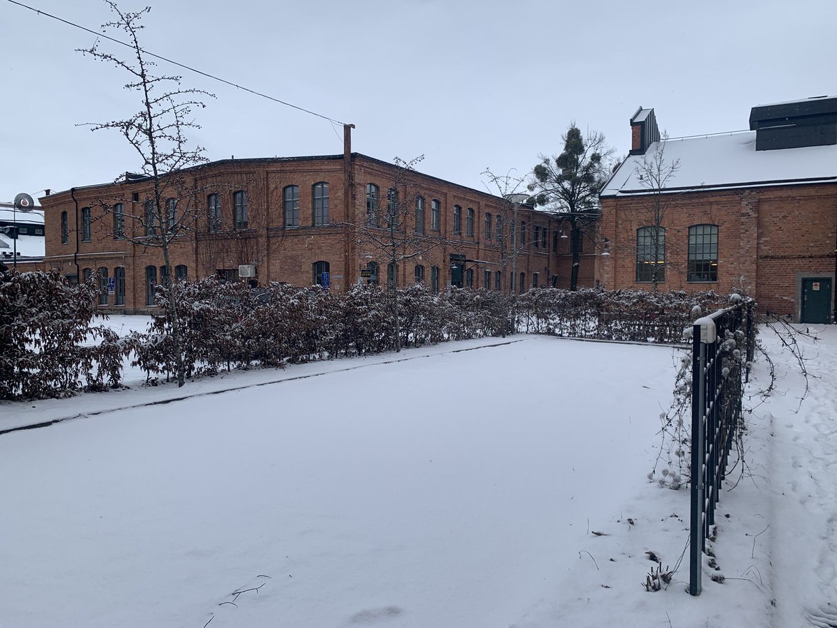 Our last physical meeting is ongoing in Västerås, Sweden! As you see, it’s cold outside, so we have chance for more time for discussion indoor!