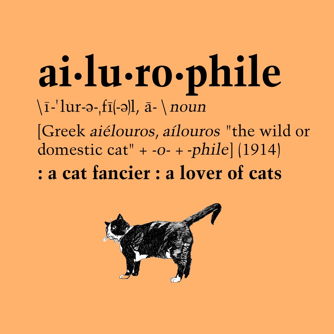 Dawn Kopecki (Dawn_Kopecki) / Twitter