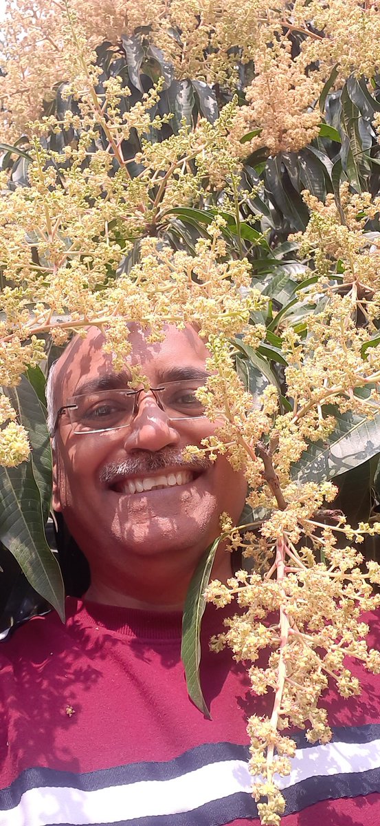 #मधुरम१२९ 
वर्तमान में ठहरा रंग,
स्नेहिल कोरी आंखे महसूस करती है,
मुलायम सोंधा स्पर्श उस रंग का,
जो कभी न चुकेगा,
जो कभी न रुकेगा,
जबतक प्रकृति होगी,
लहू बनेगा।