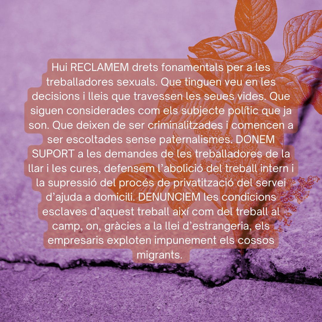AssembleaFeministaVlc tweet media