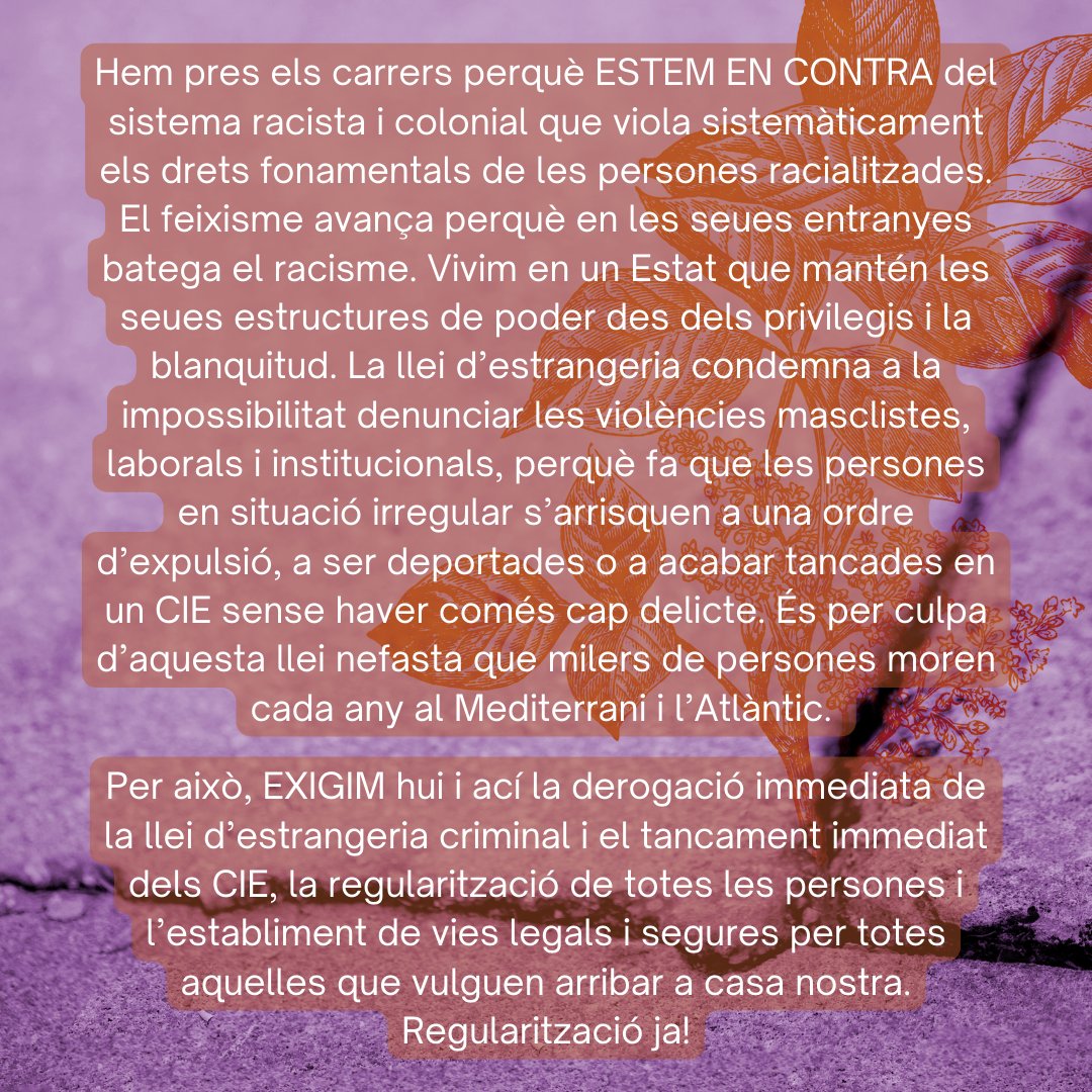 AssembleaFeministaVlc tweet media