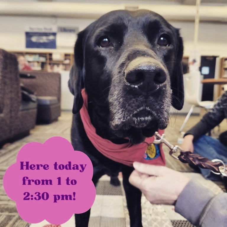 Milne_Library's tweet photo. #FraserHallLibrary #Geneseo https://t.co/zEc3NdeuMz