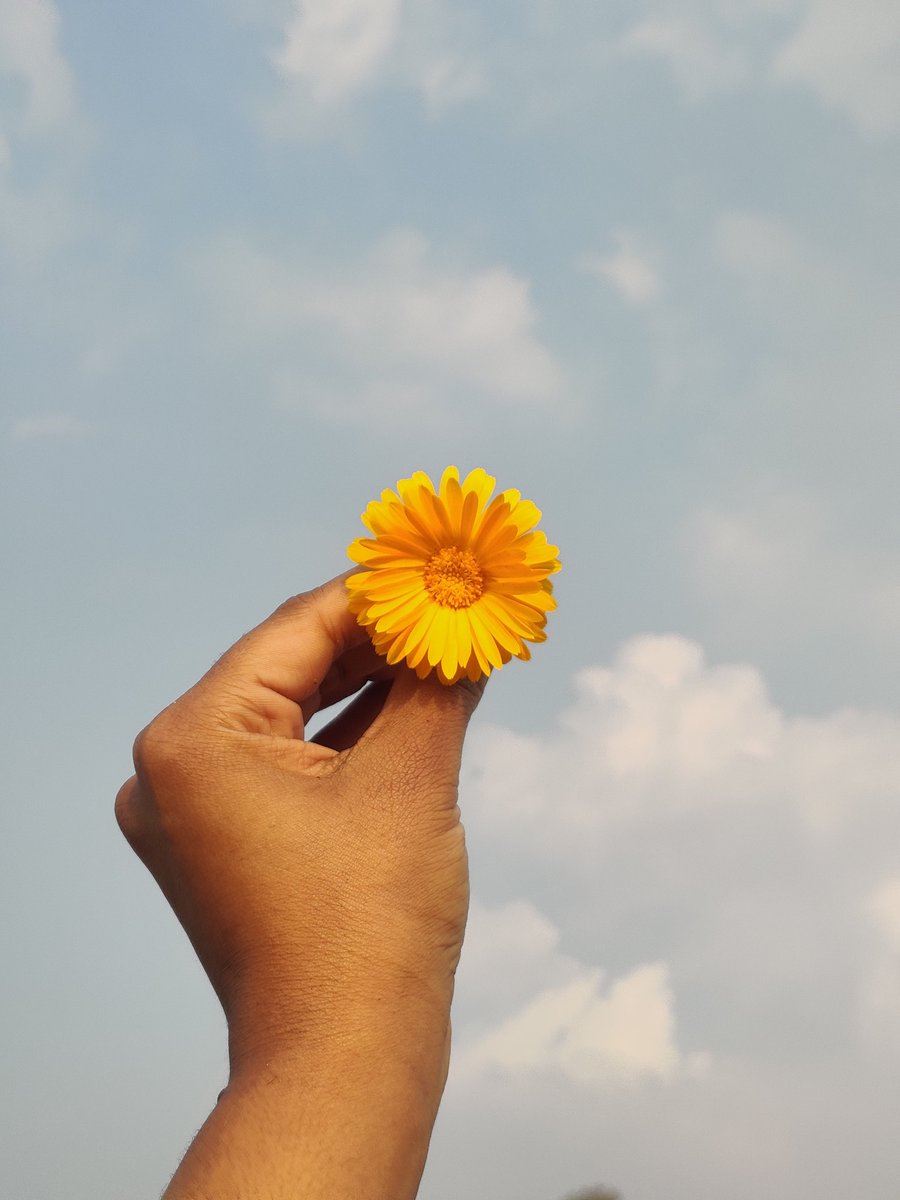 MansiGuptamd's tweet photo. We're all golden inside🌻 https://t.co/UWqVDJ3CAl