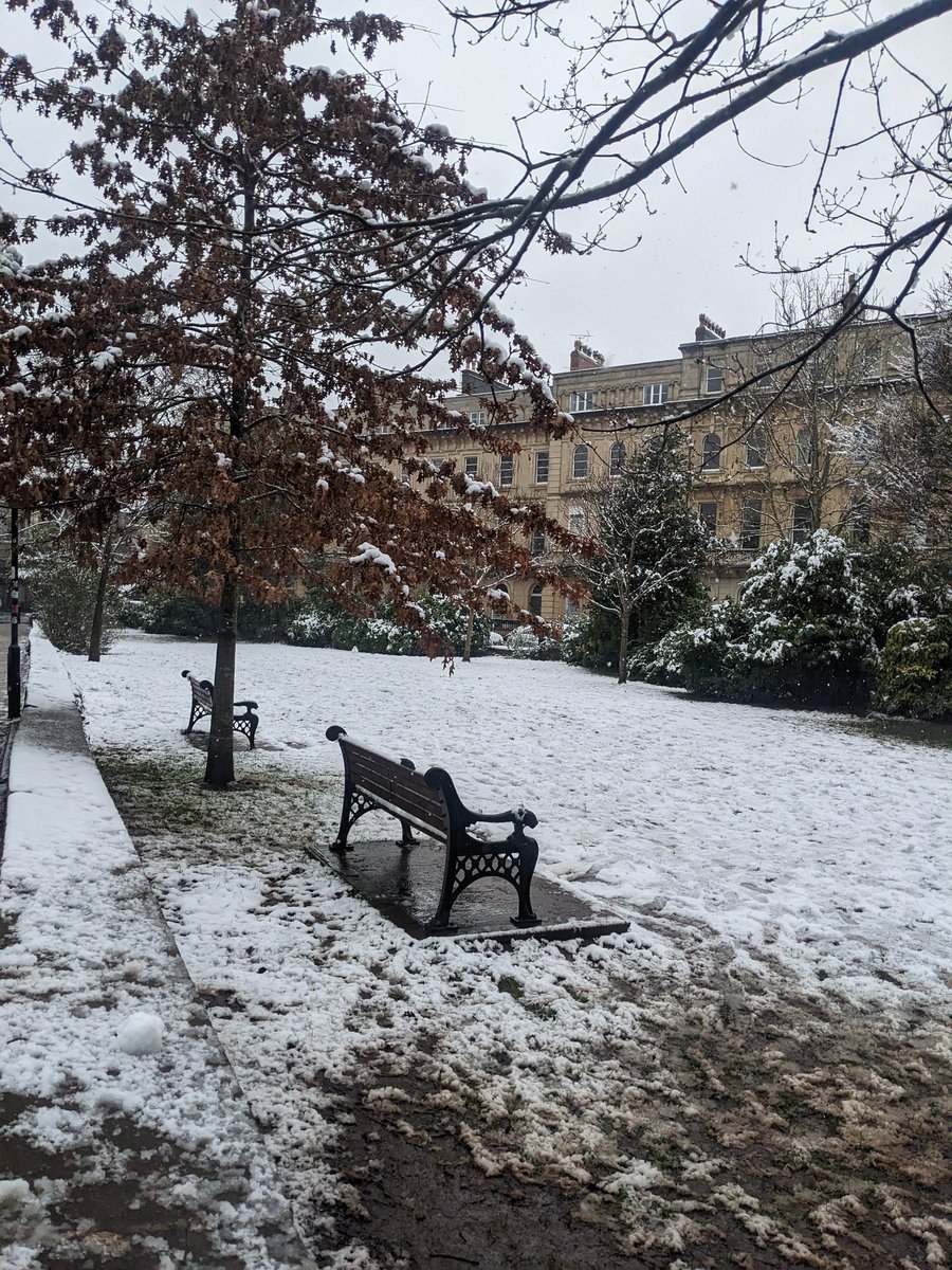 GM! 🌨️ 🏂 How much more snow needs to fall before people start skiing down the roads again!?