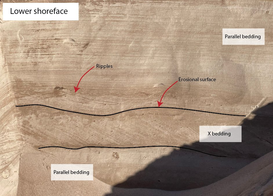 fromtheurgonian's tweet photo. Post- #fieldwork data processing is essential to understand and document what we have learnt from the #outcrops. Here some basic interpretation and observations #shoreface #sedimentology https://t.co/vpsgsGF18o