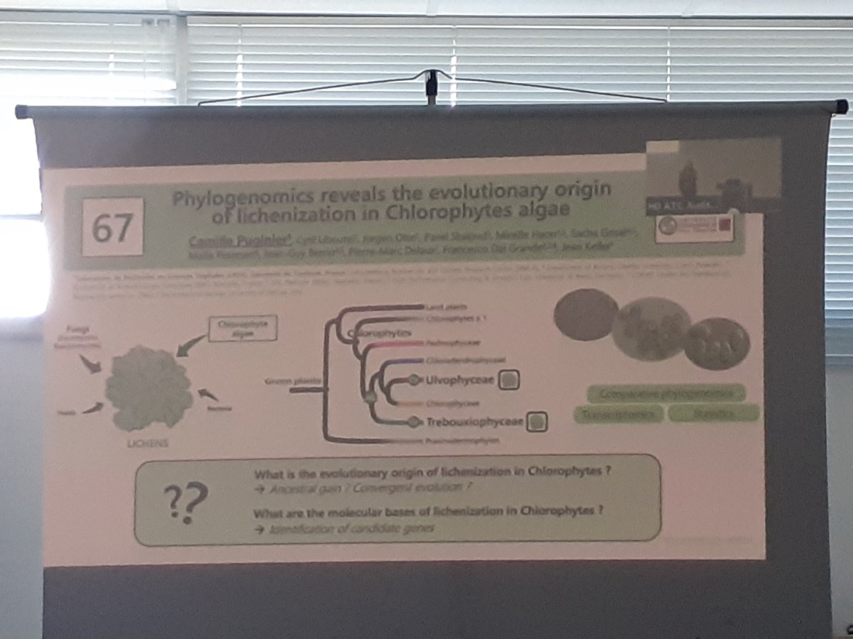 Go go go @puginiercamille !! Everything you need to know on Lichens at poster #67 #EESSymbiosis