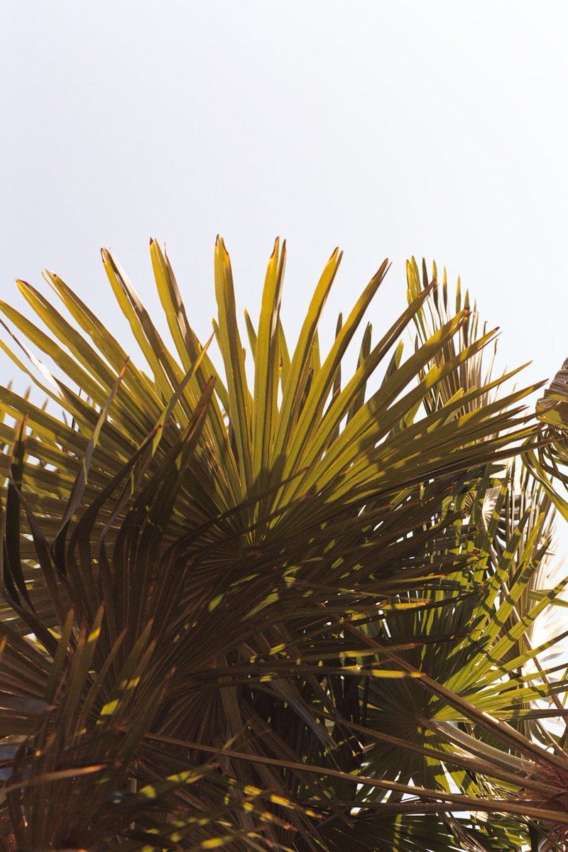 khemsok97's tweet image. #SQLProTip: Always back up your database before altering its structure, as deleting data can cause permanent data loss. #Programming