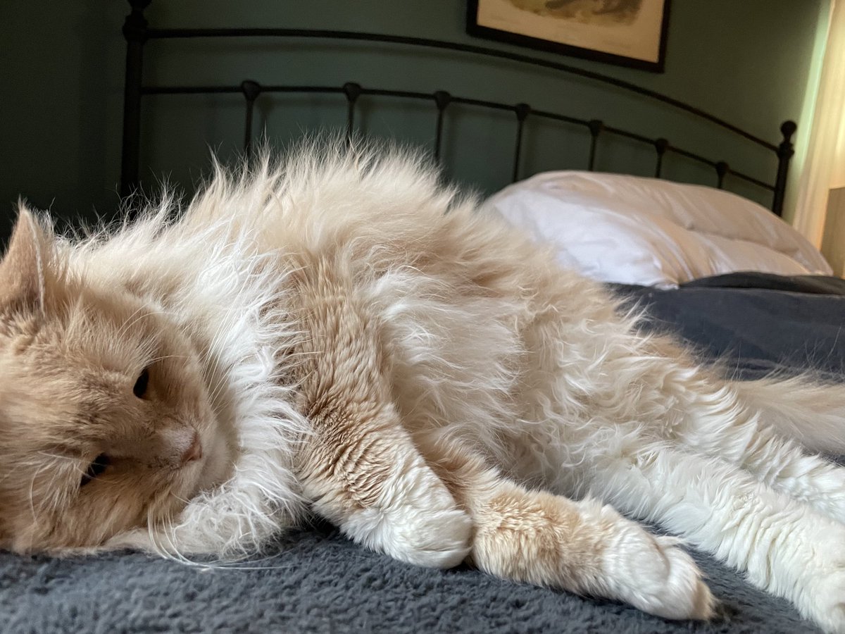 Happy #WorldKidneyDay #sockittokidneydisease