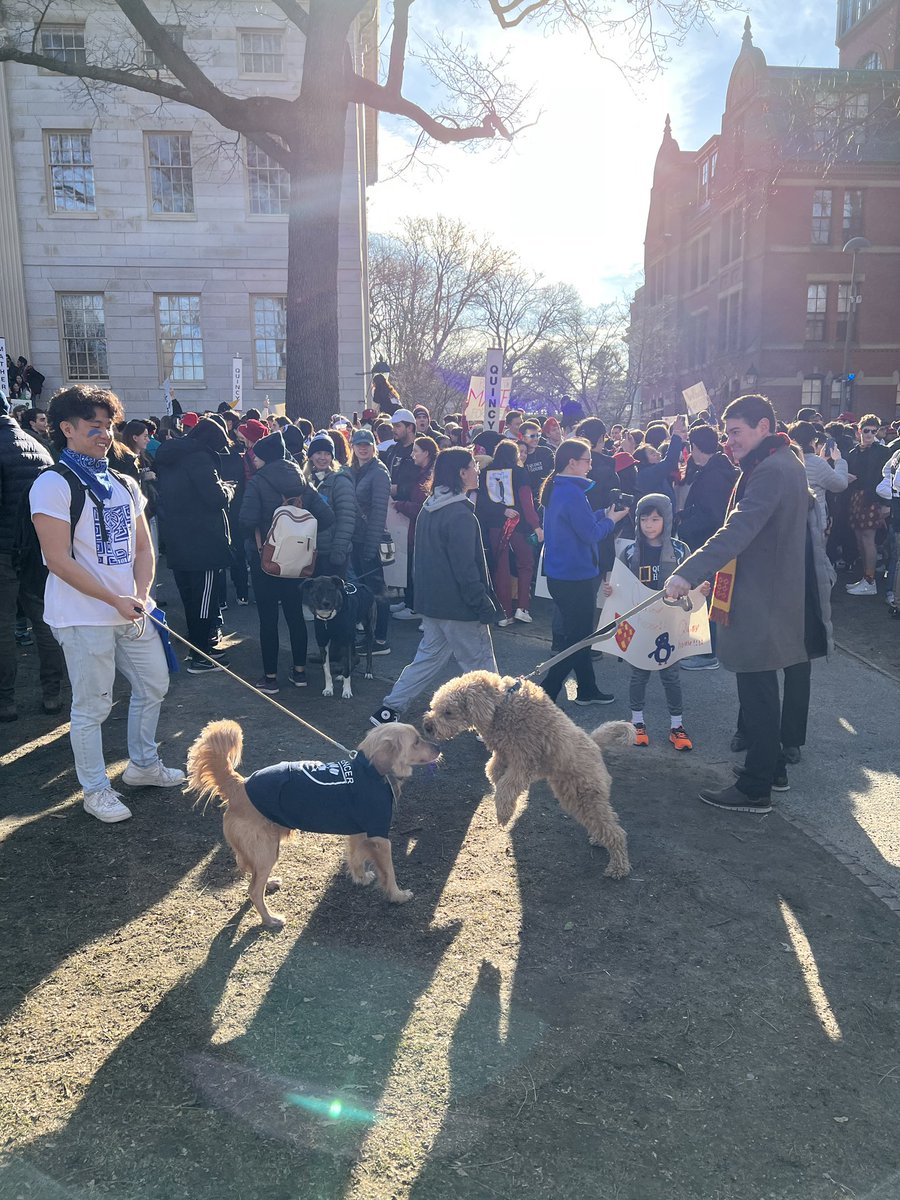 Harvard Alumni Association on Twitter "Happy HarvardHousingDay! This