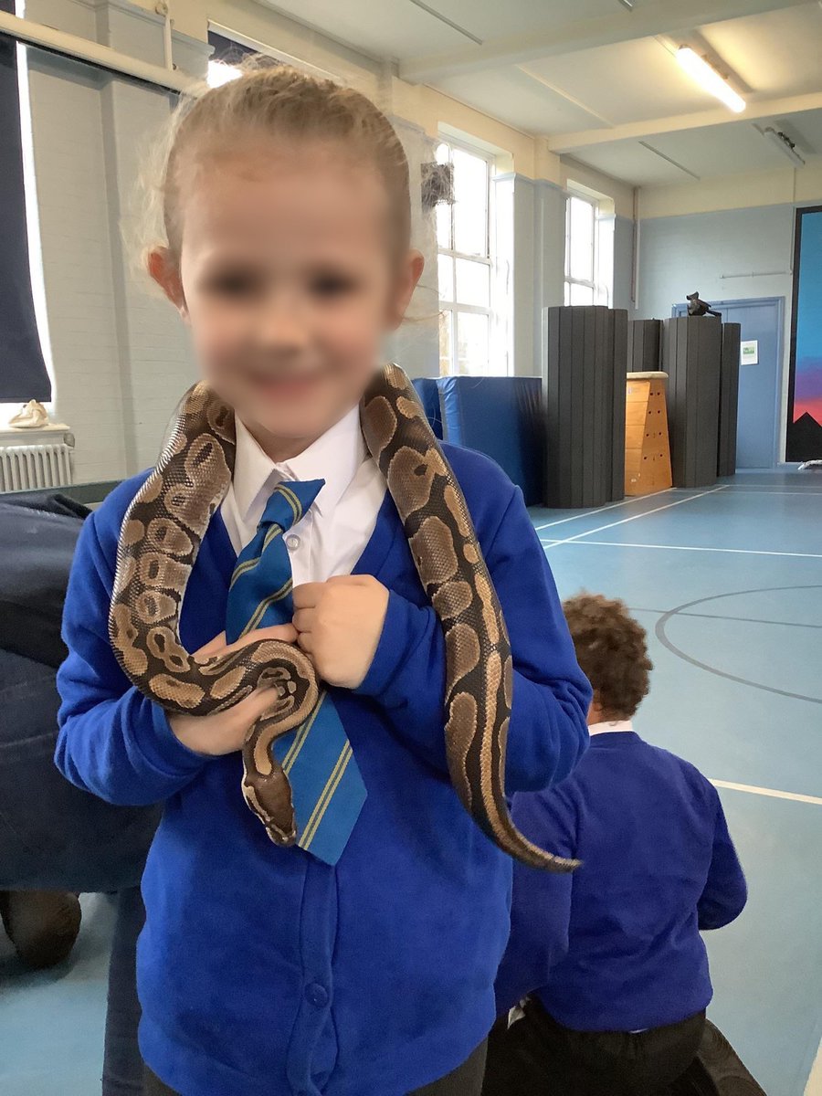 Year 1️⃣

This term, we are exploring animal groups! To support our understanding, we participated in an interactive workshop with Our Amazing Animal World.

We met…..
A guinea pig 
A frog 🐸 
A blue tongue stink reptile 🦎
A hedgehog 🦔 
A chinchilla 
A royal python snake 🐍