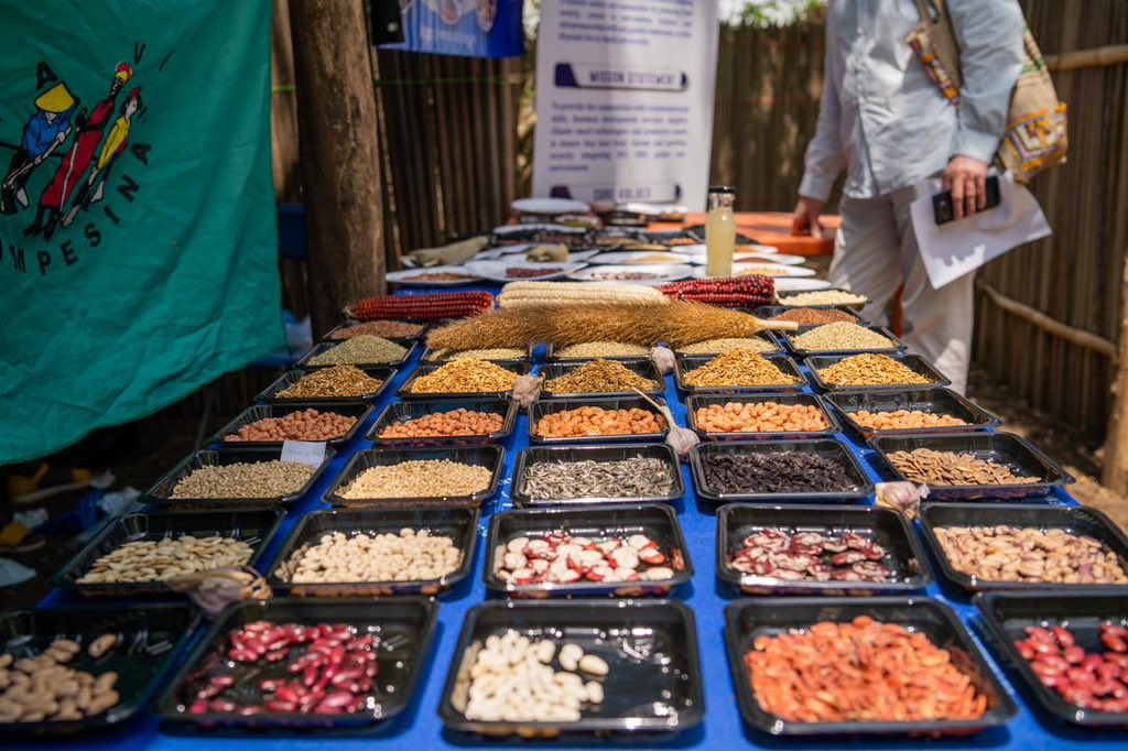 The fair will include Demonstration workshops to value agricultural biodiversity, Presentation and plenary workshops and an Exhibition of Farmers' Seeds & #Agroecology. #SeedSovereignty 
 #SeedIsPower