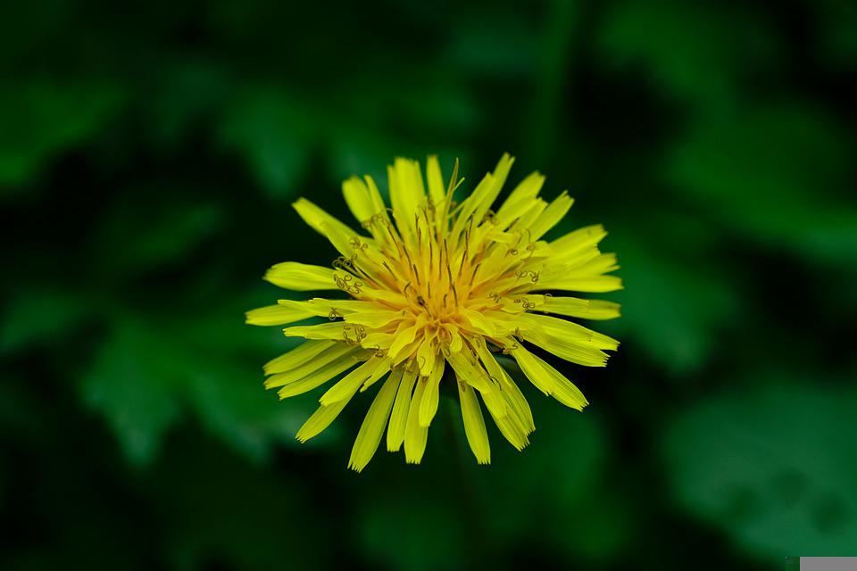 waika618's tweet image. Top features include the ability to schedule a campaign of posts over several durations on numerous social platforms.

Click for more bsapp.ai/Q3scQ6i0r

#videophone #Waika618 #welcome #upload #blue #20221107 #strawberry #sharing #free #video #cameraphone